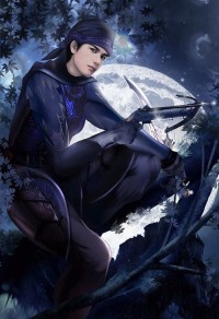 妖精的魔匣